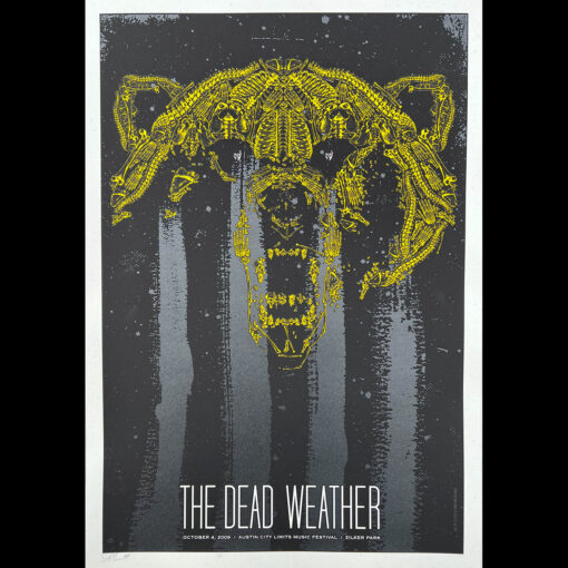 Dead Weather - ACL bear