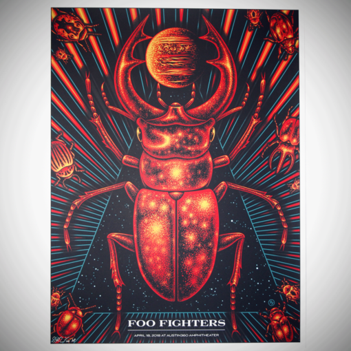 Foo Fighters - space scarab