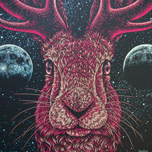 Avett Brothers - Jackalope - Image 3