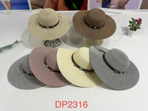 DP2316 HAT