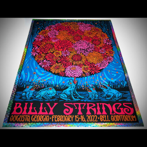 Billy Strings - frog symphony - Image 2