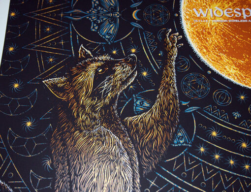 Widespread Panic -raccoon - Image 3