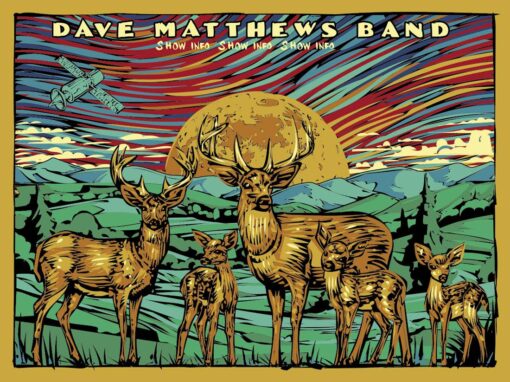 Dave Matthews Band - Strawberry Moon - Image 5