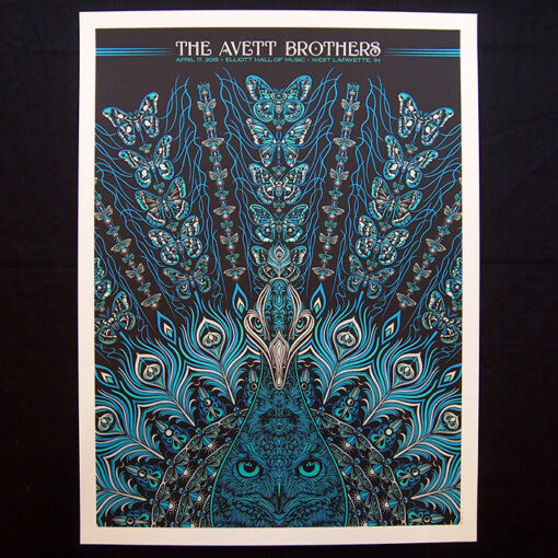 The Avett Brothers peacock owl - Image 2