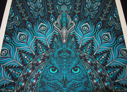 The Avett Brothers peacock owl - Image 3